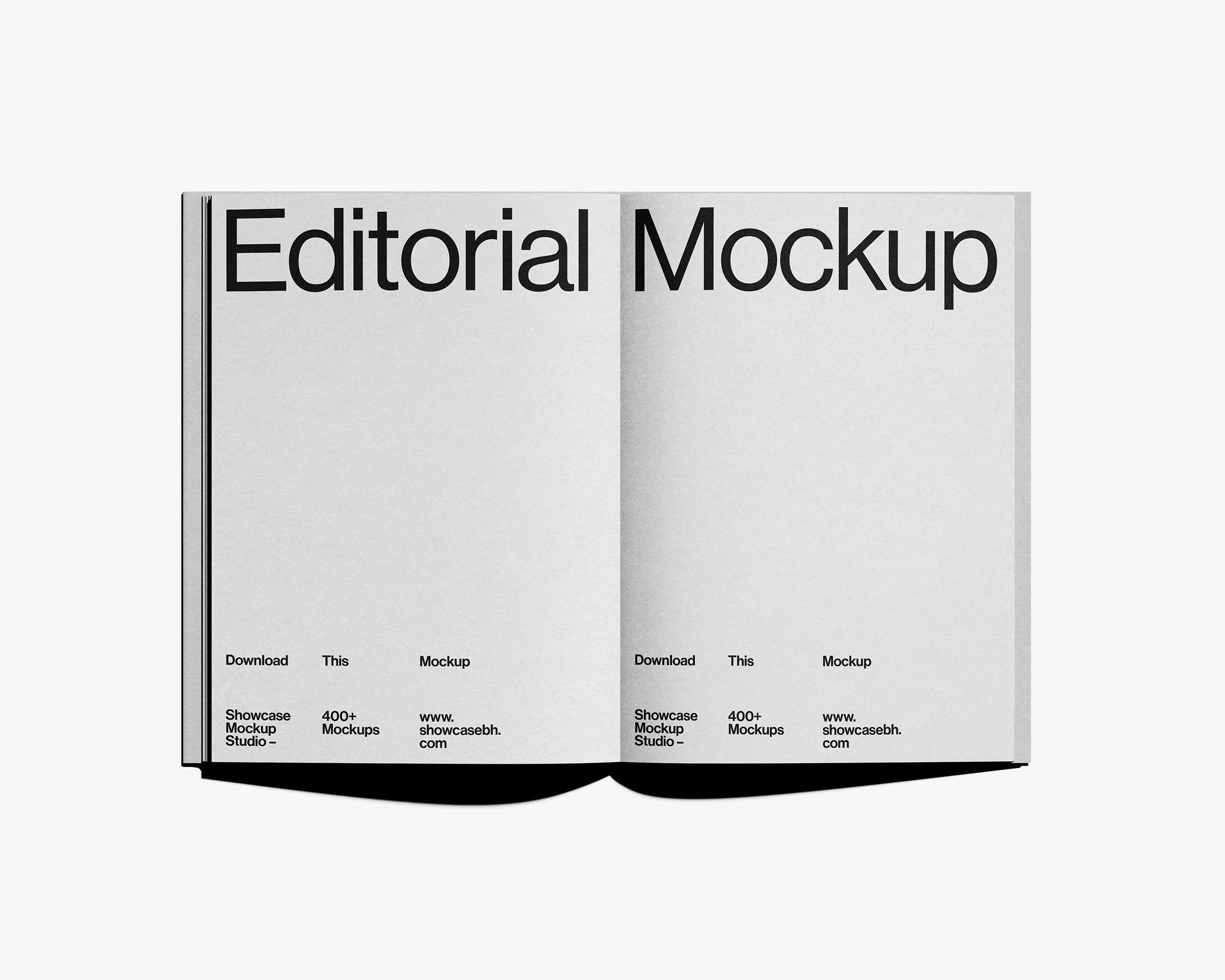 BF7_12_Book Mockup