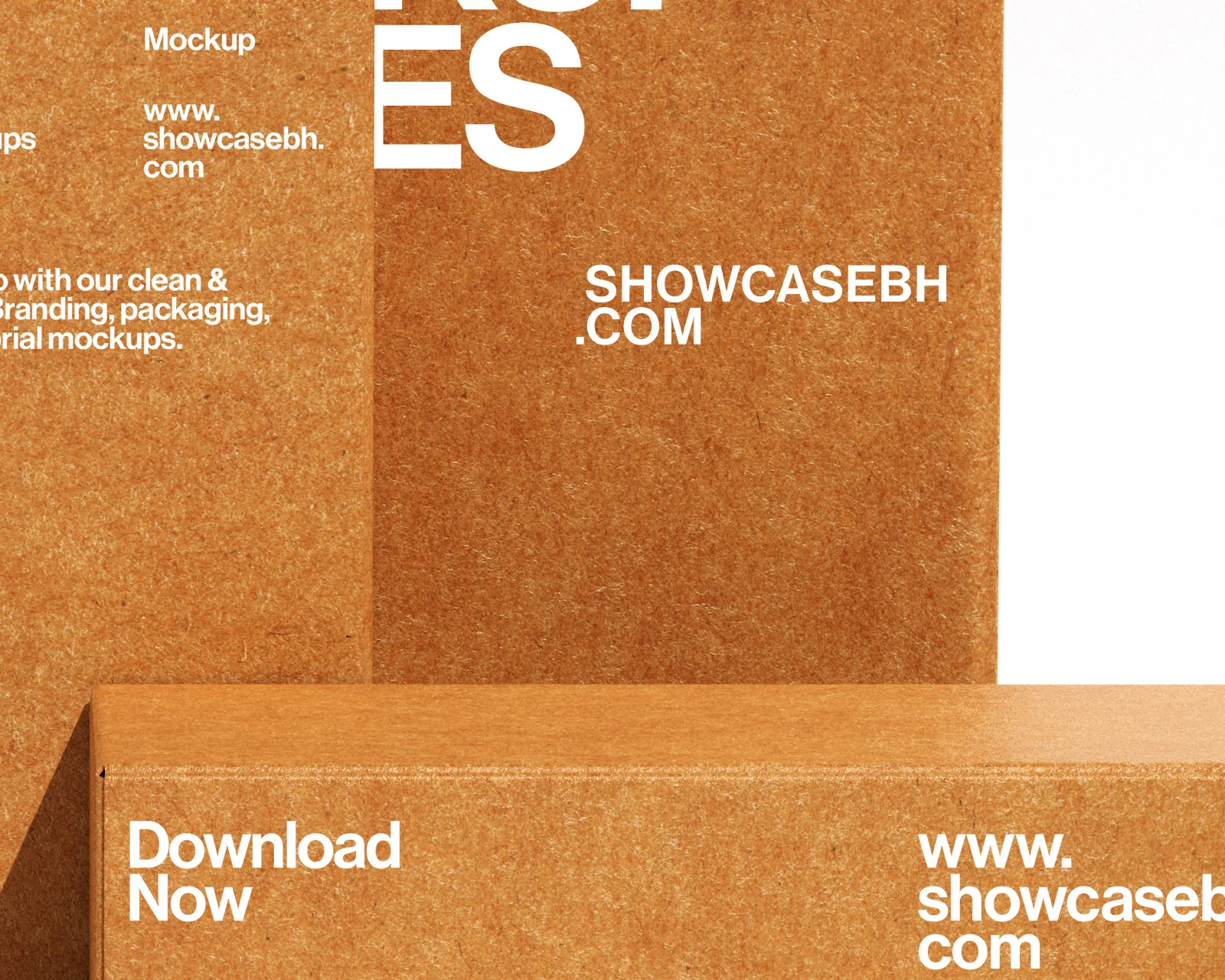 Bp3_Box Mockup_03 - Image 3