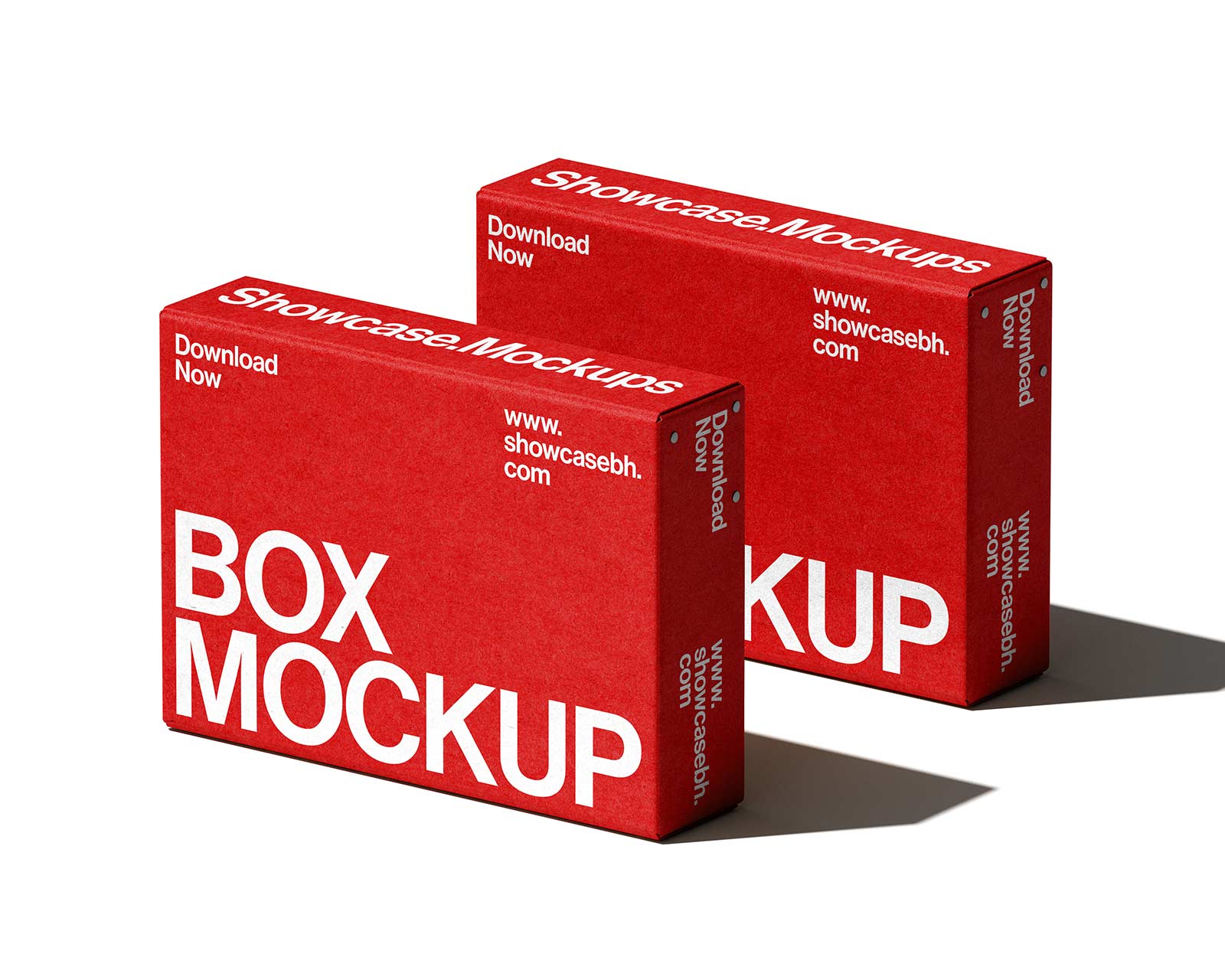 Bp3_Box Mockup_04 - Image 2