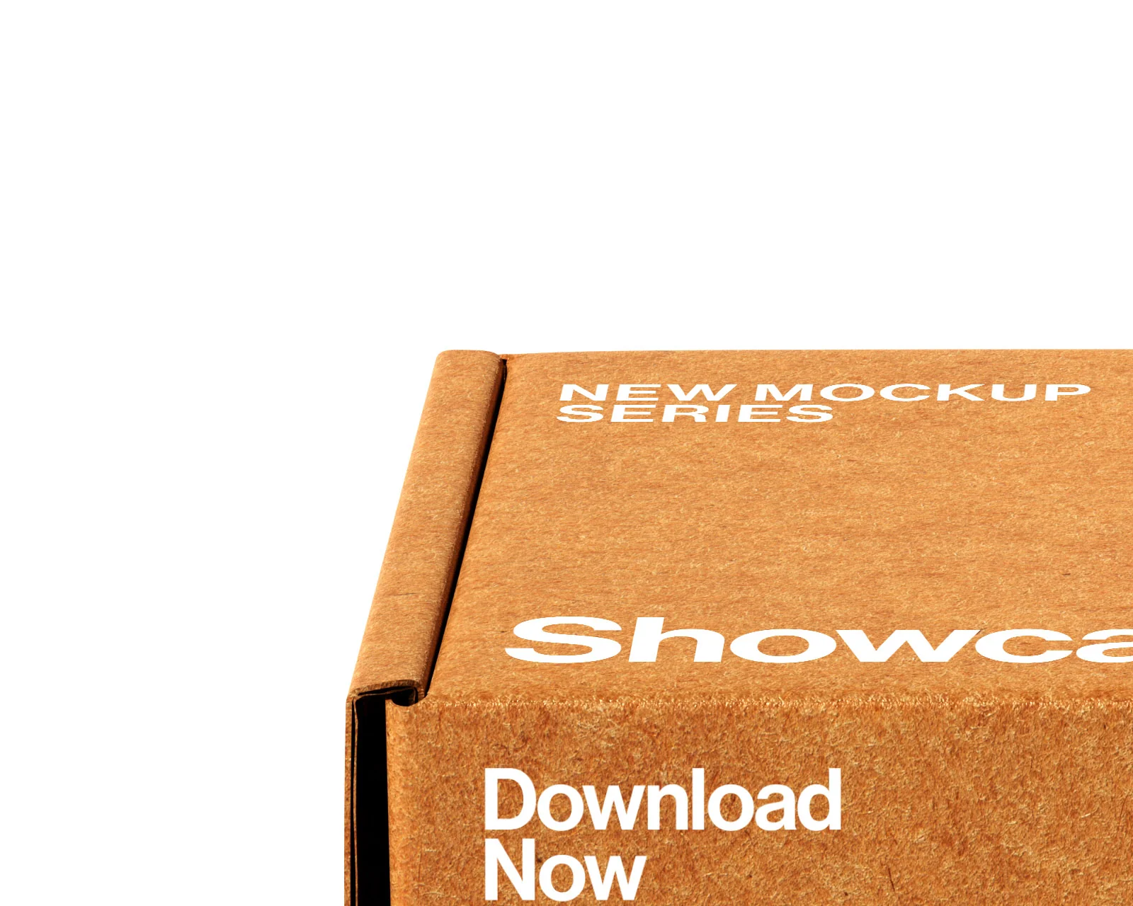 Bp3_Box Mockup_06 - Image 3