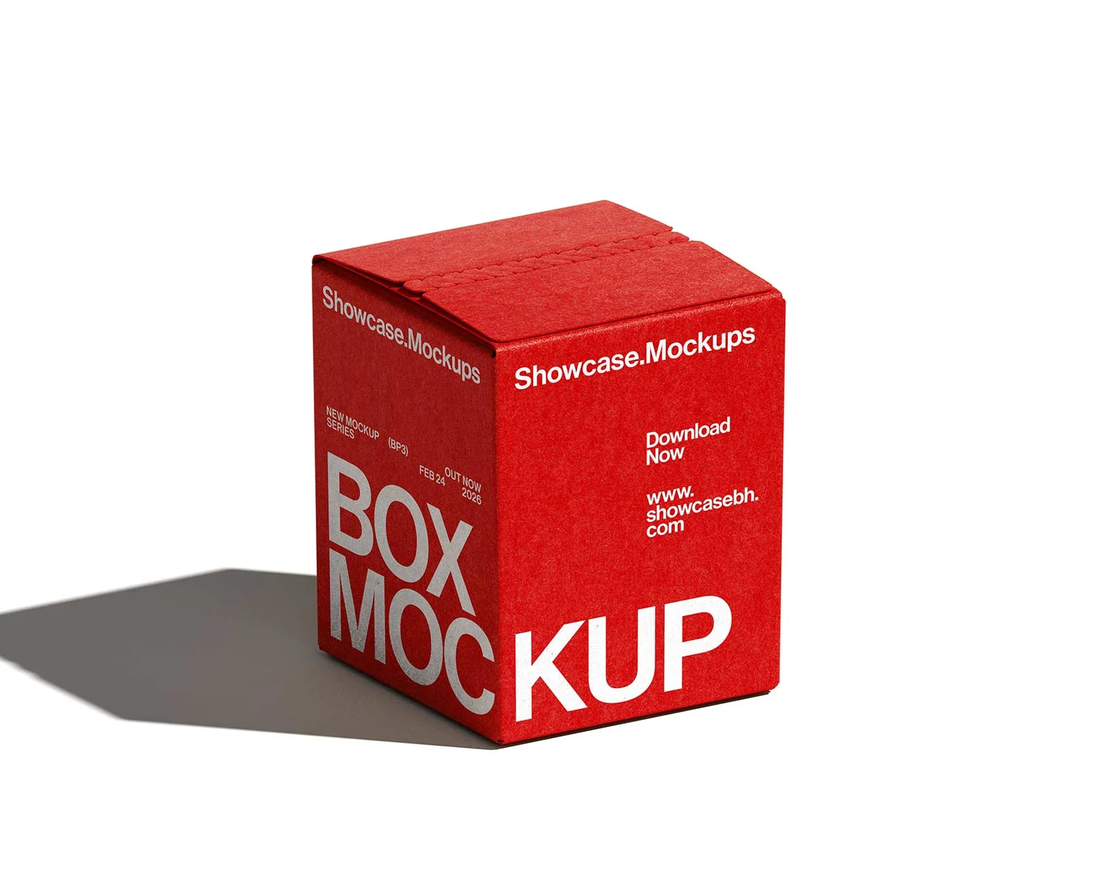 Bp3_Box Mockup_07 - Image 2