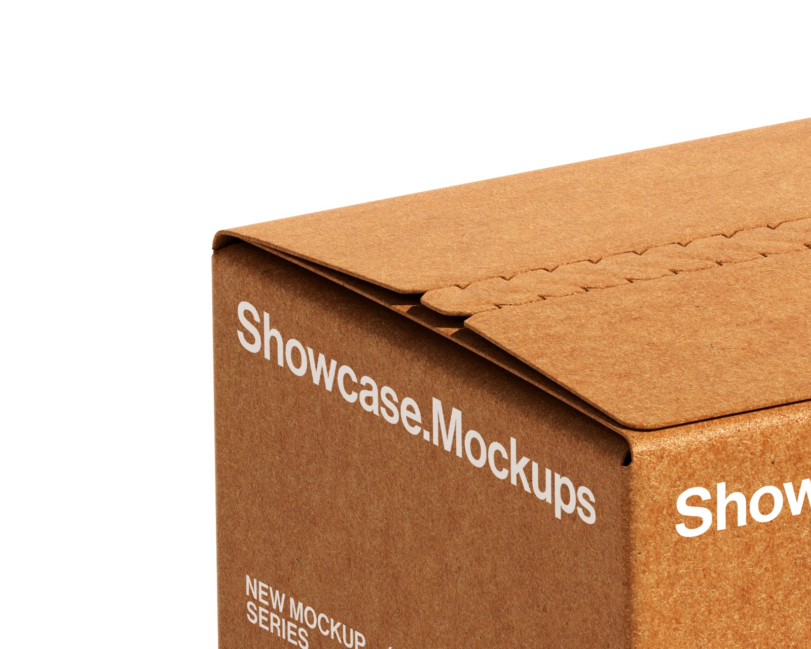 Bp3_Box Mockup_07 - Image 3