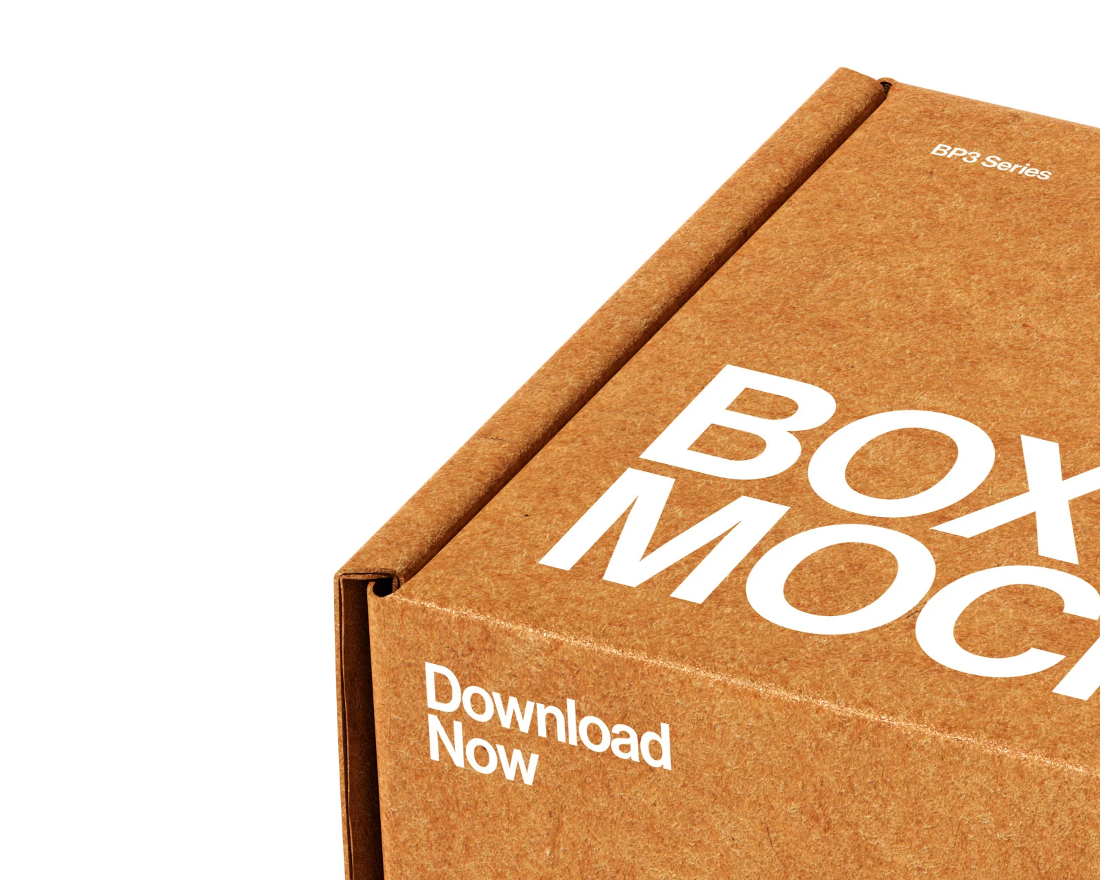 Bp3_Box Mockup_08 - Image 3