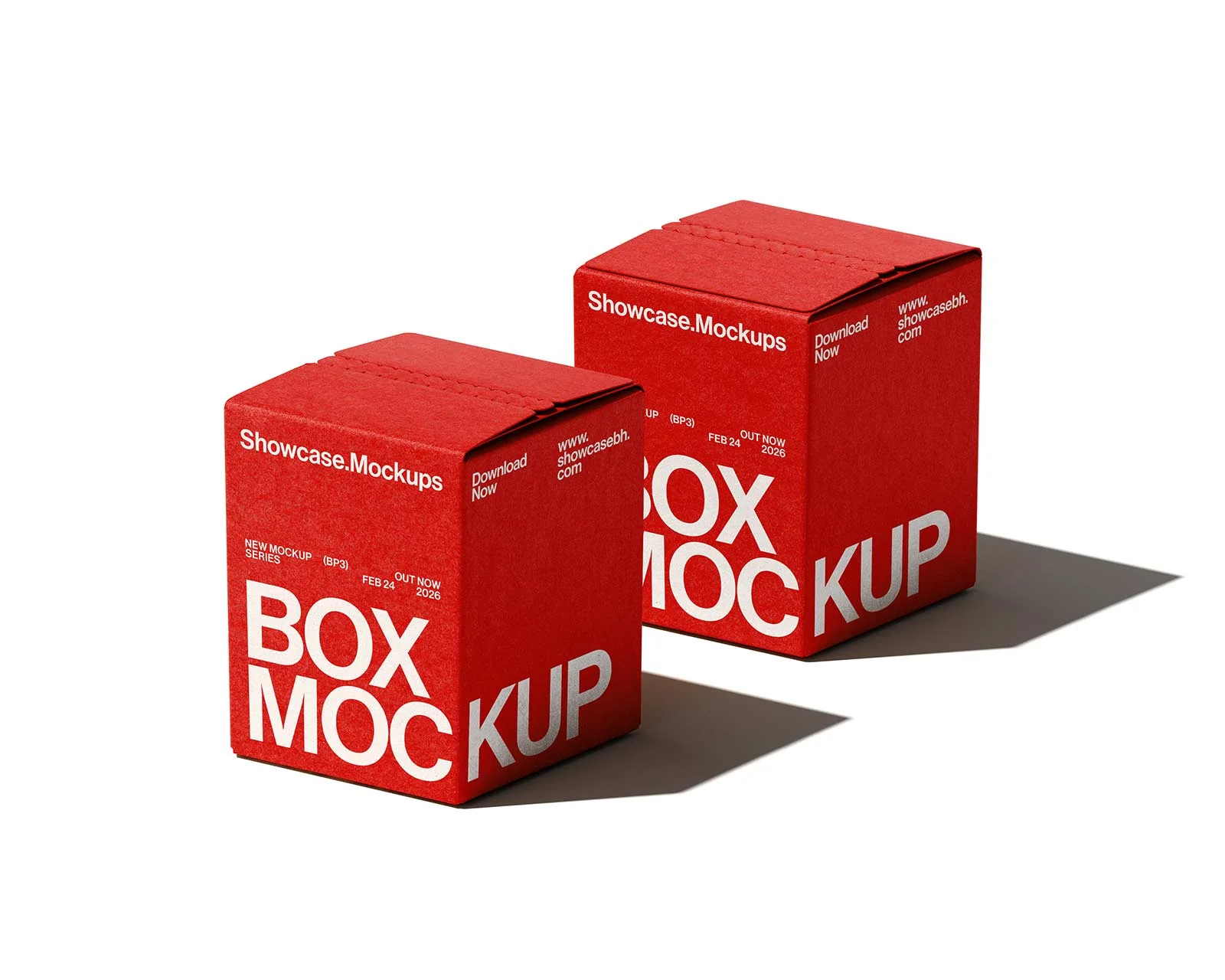 Bp3_Box Mockup_09 - Image 2