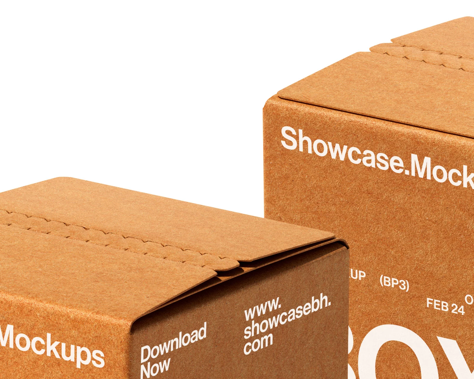 Bp3_Box Mockup_09 - Image 3