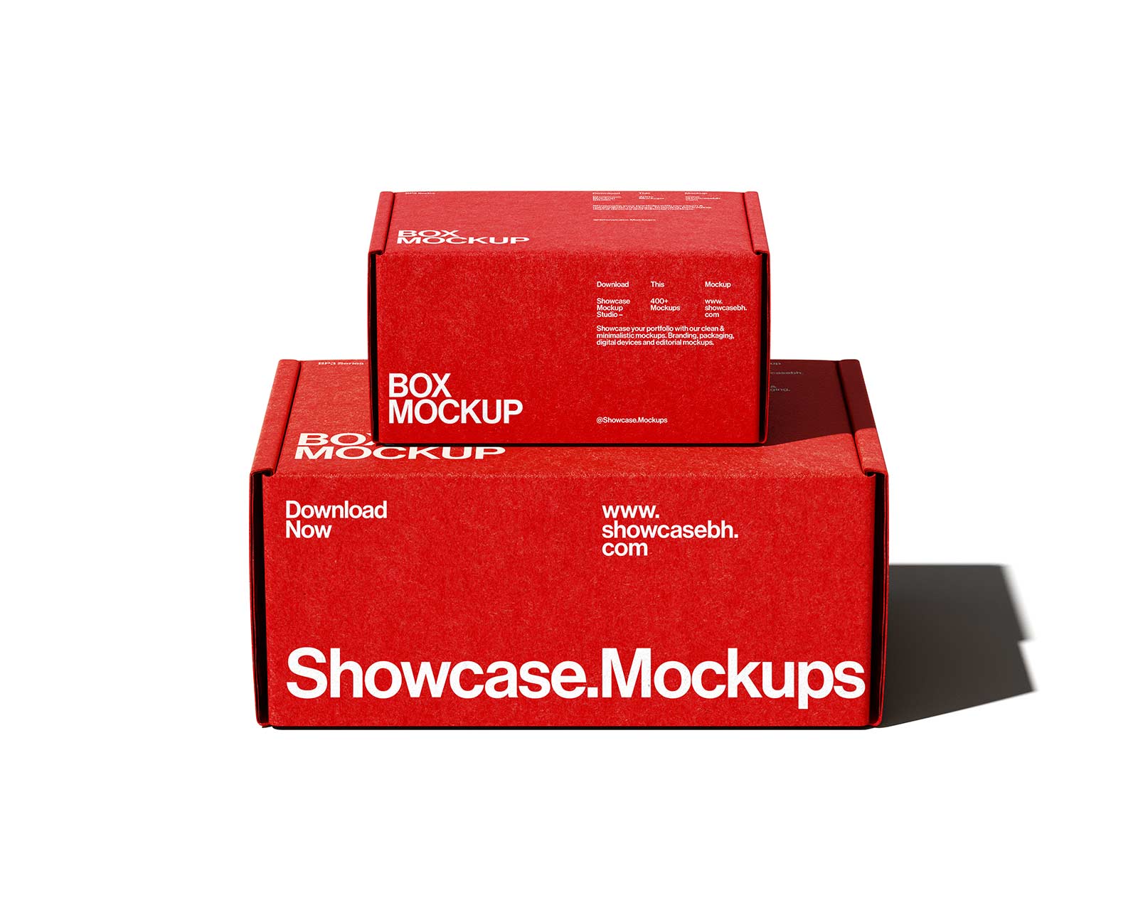 Bp3_Box Mockup_10 - Image 2