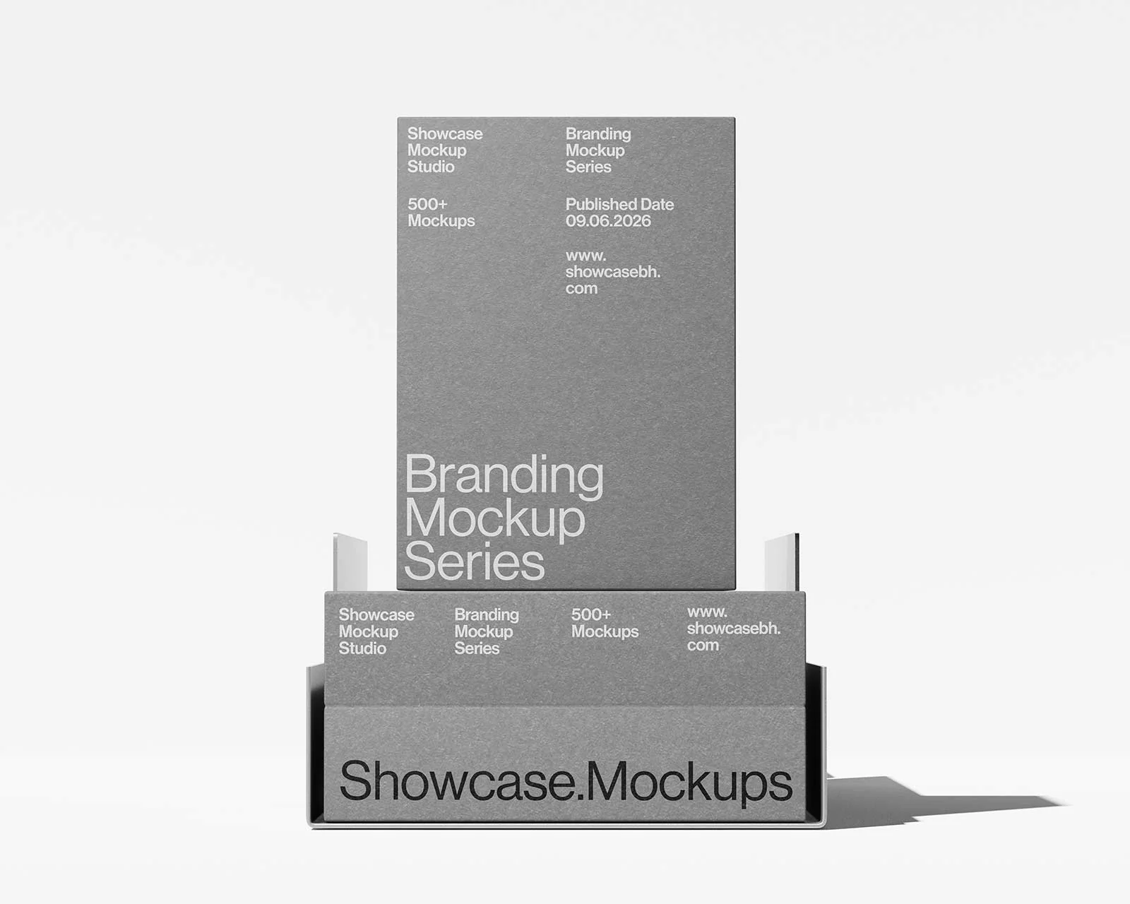 BR_16_Folder Mockup - Image 2