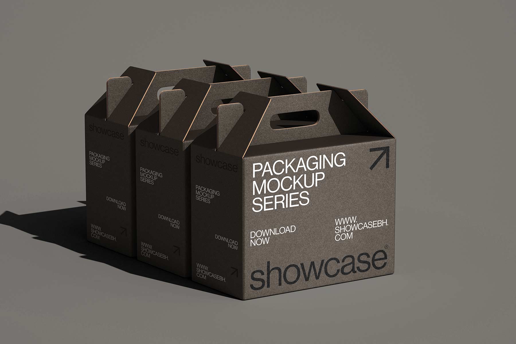 CG01_Packaging Mockup - Image 2