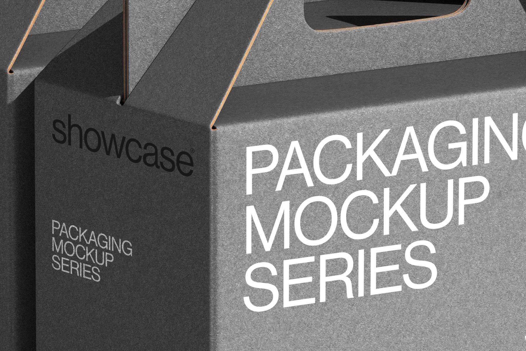 CG01_Packaging Mockup - Image 3