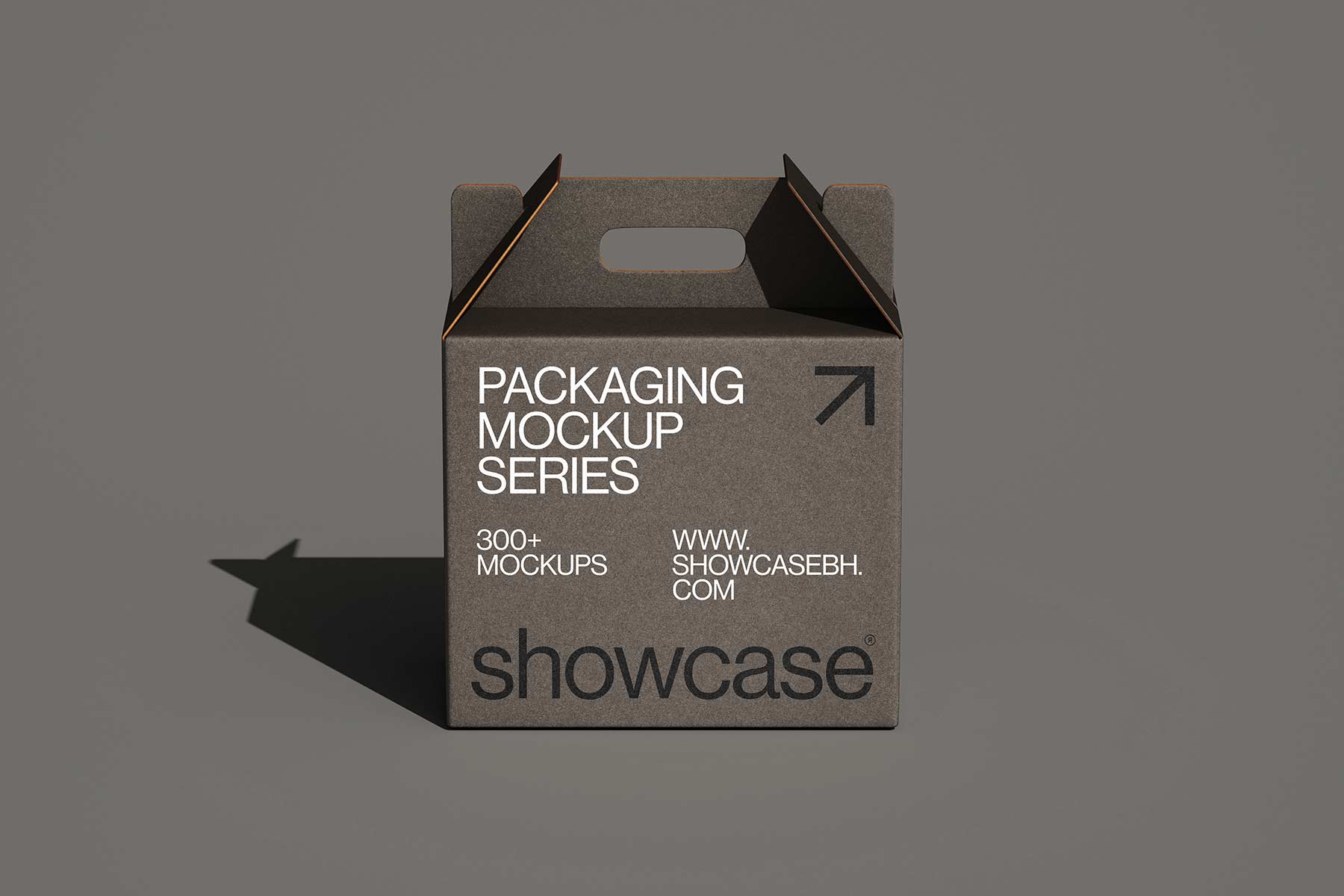 CG03_Packaging Mockup - Image 2