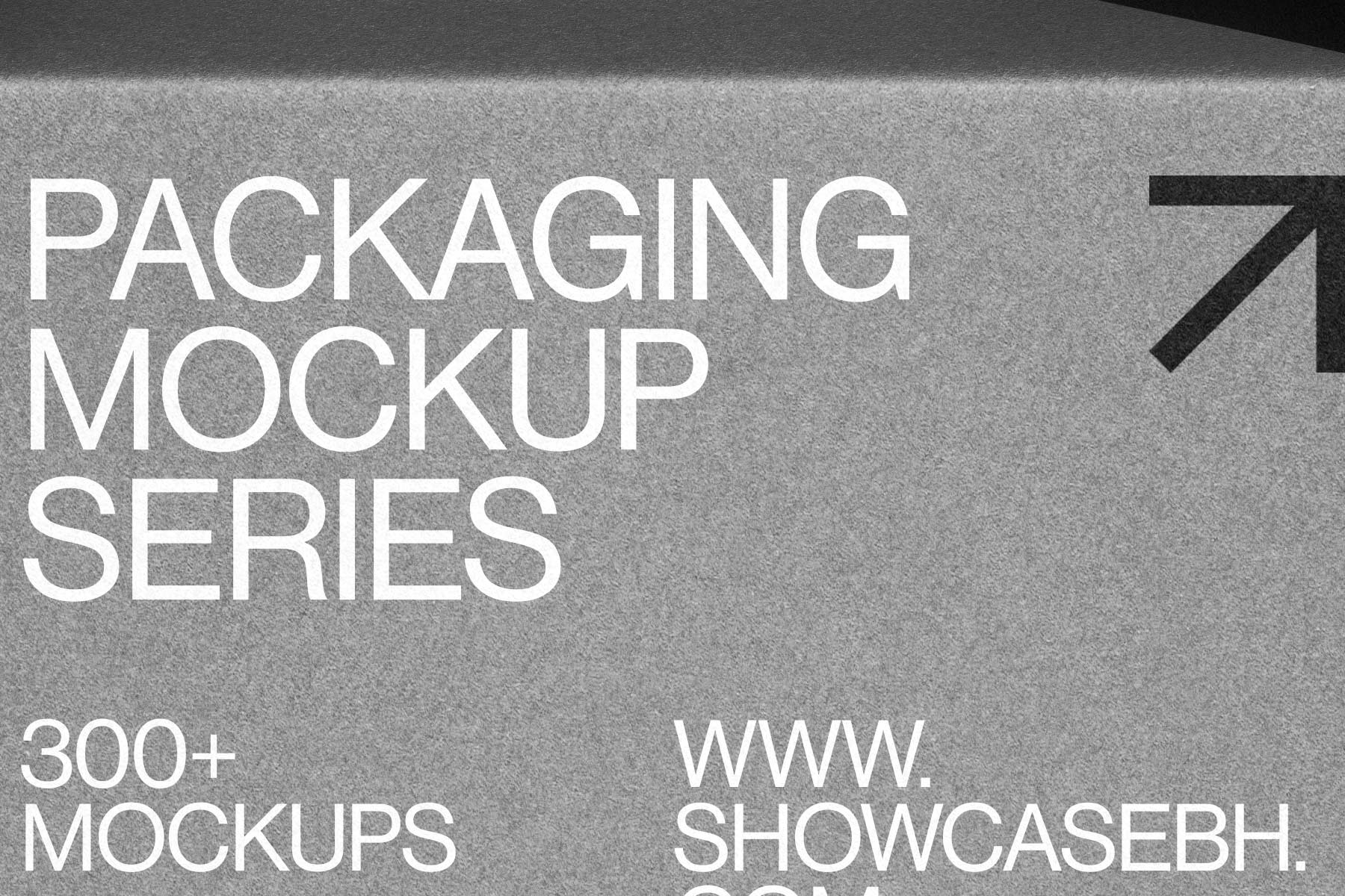 CG03_Packaging Mockup - Image 3