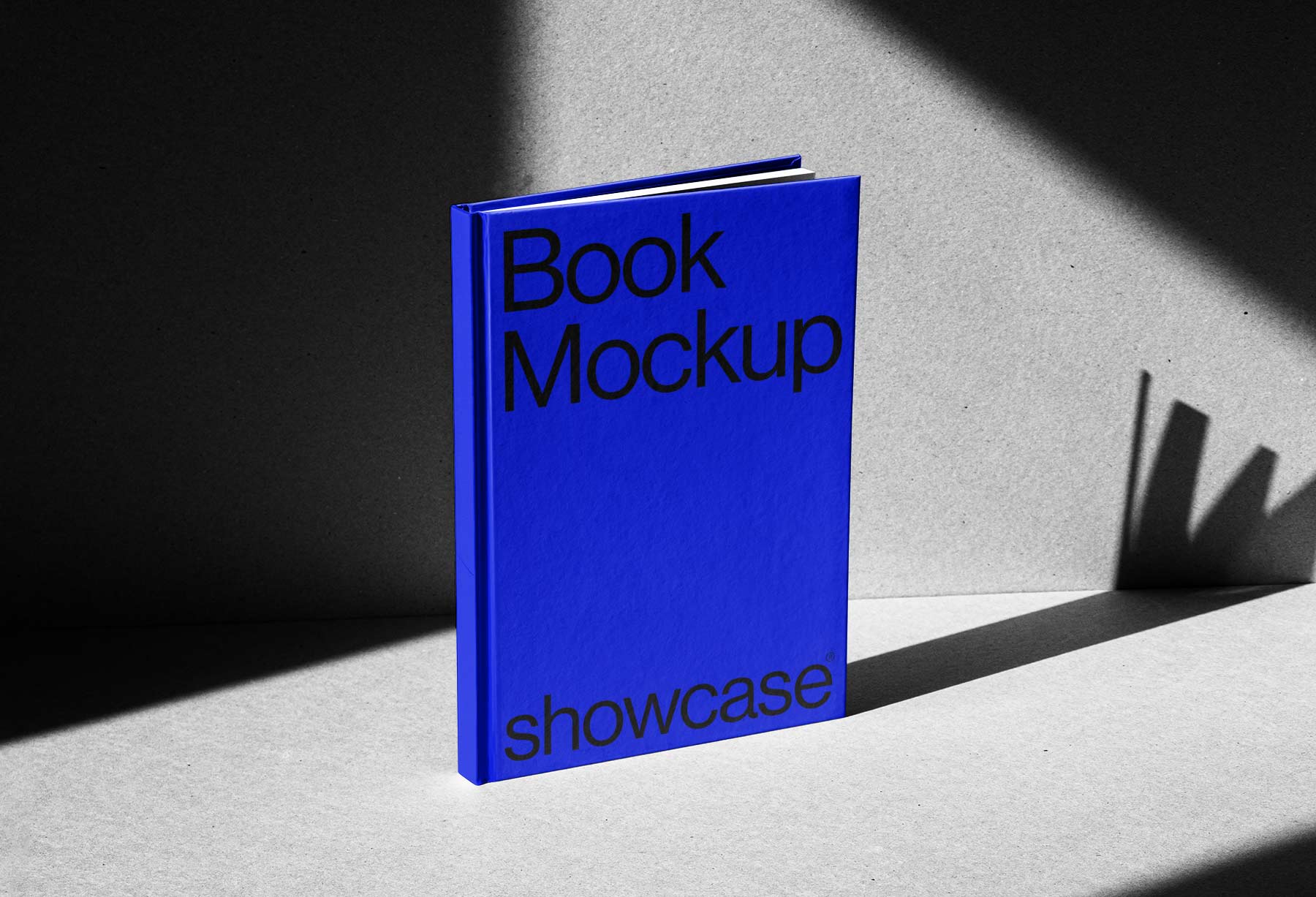 G201_Book Mockup - Image 2