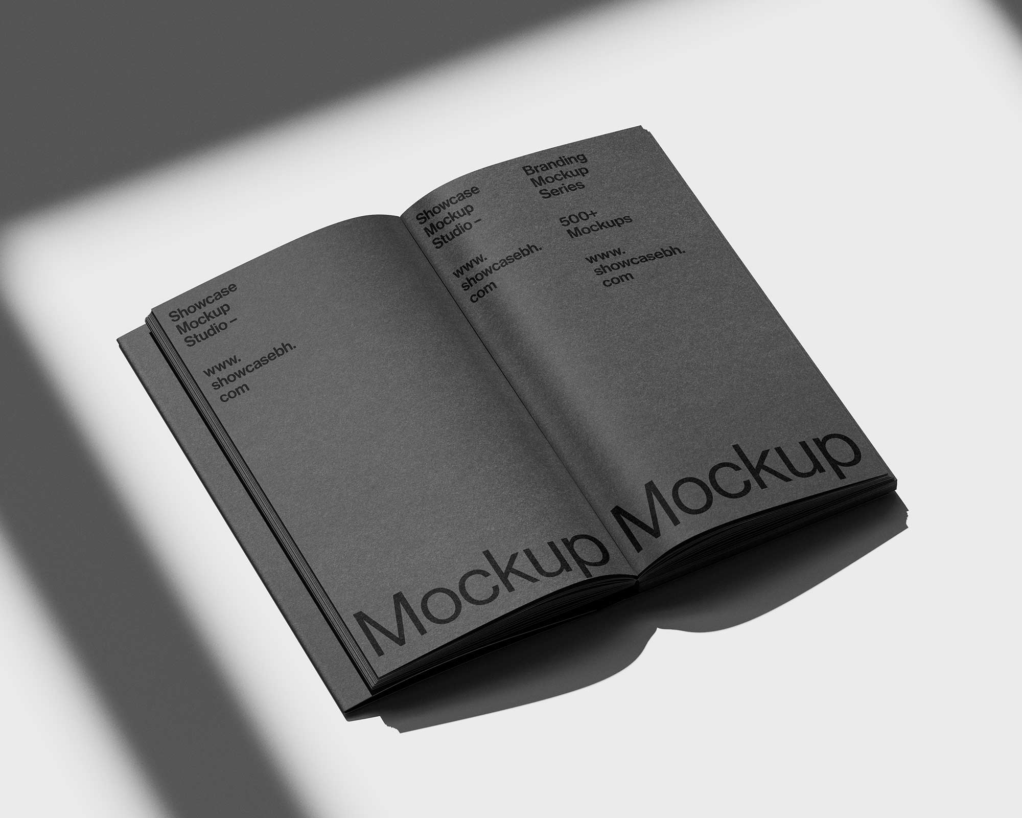 LE_12_Book Mockup - Image 2