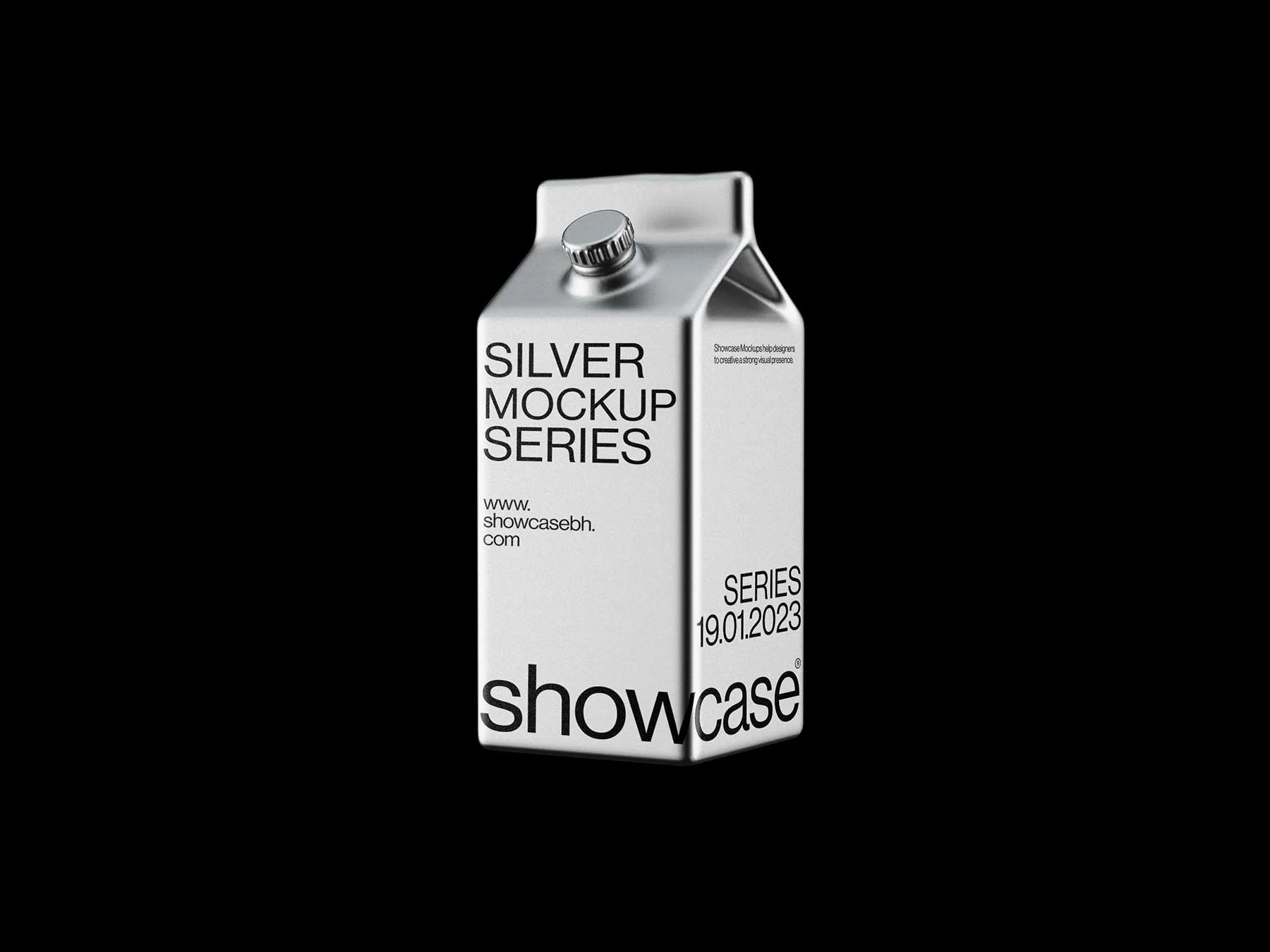 Silver Mockup Bundle - Image 11
