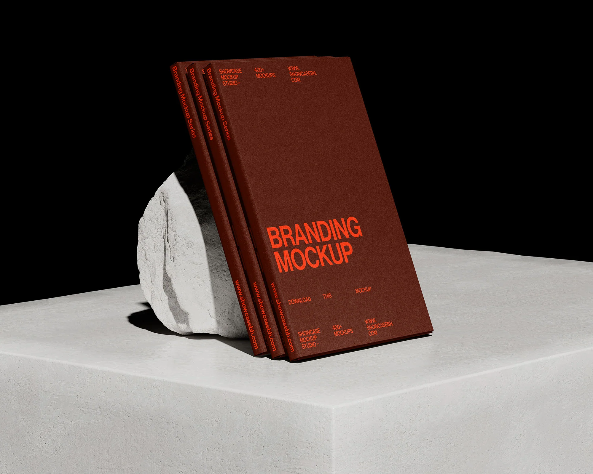 ST09_Folder Mockup - Image 2